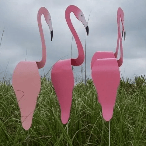 Florida Dancing Birds Garden Metal Art