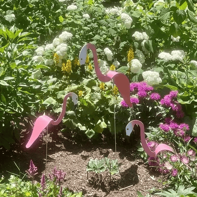 Florida Dancing Birds Garden Metal Art