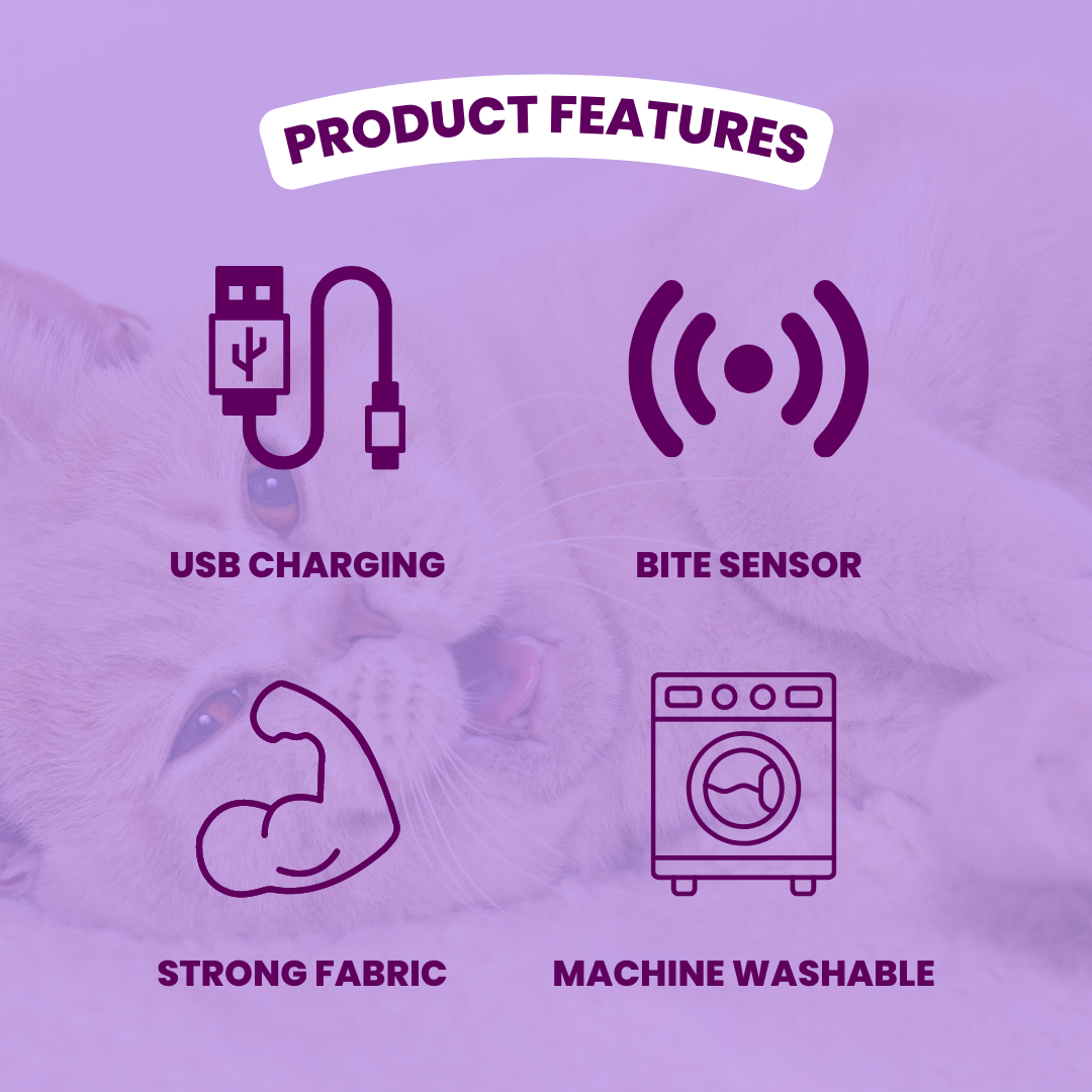 Mr. Wiggling Lobster | Bite Activated Wiggle | Best Interactive Toy for Cat