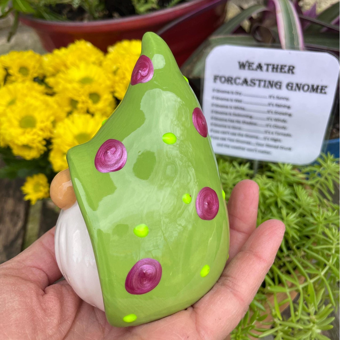 Funny Weather Forecasting Gnome
