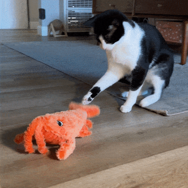 Mr. Wiggling Lobster | Bite Activated Wiggle | Best Interactive Toy for Cat