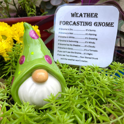 Funny Weather Forecasting Gnome