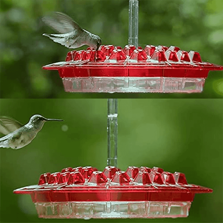 Ant Proof Hummingbird Feeders for Outdoors Hanging | Bee Proof Hummingbird Feeder