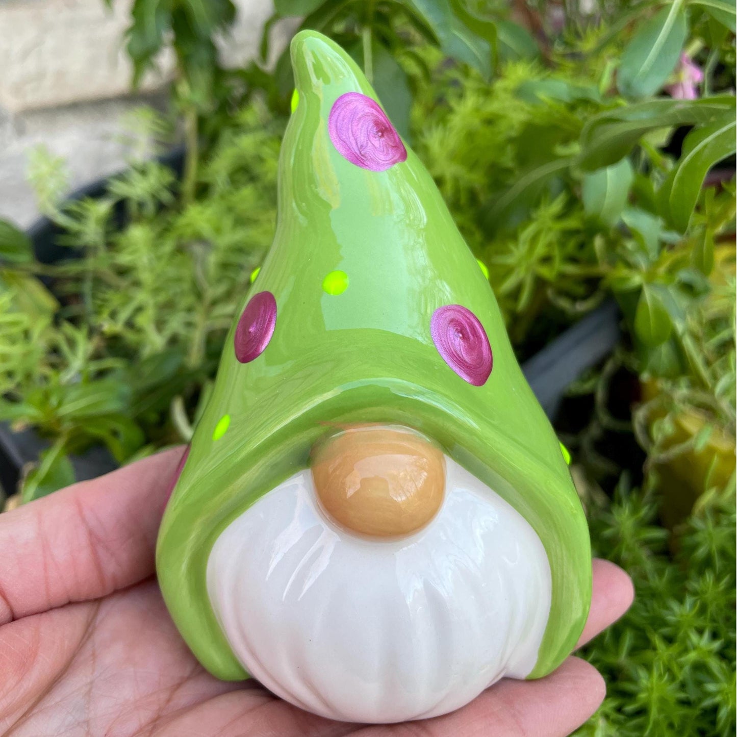Funny Weather Forecasting Gnome