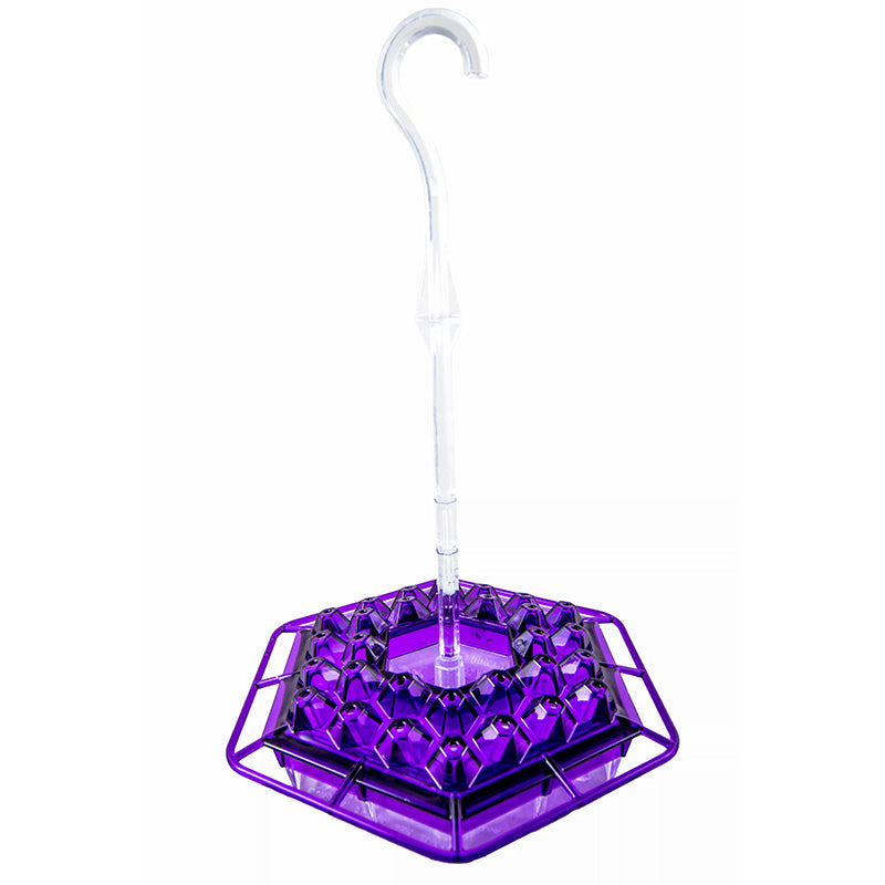 Ant Proof Hummingbird Feeders for Outdoors Hanging | Bee Proof Hummingbird Feeder