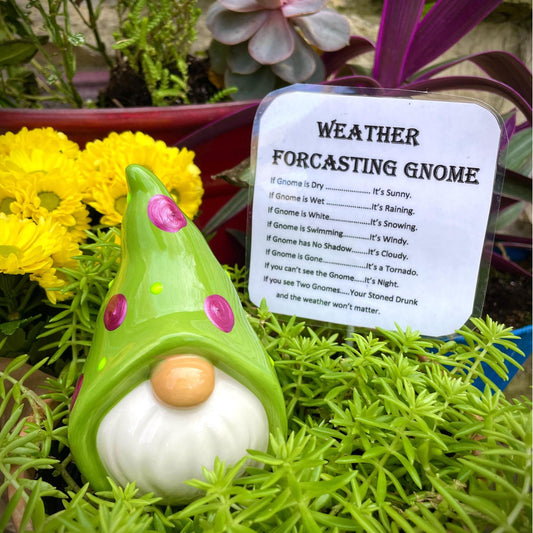 Funny Weather Forecasting Gnome