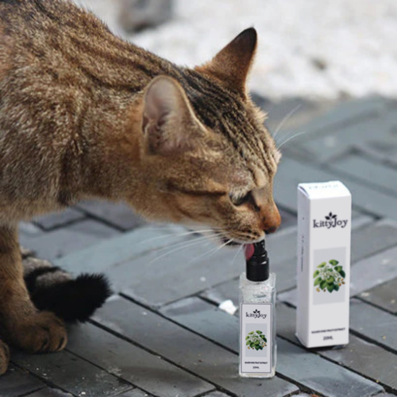 Herbal Cat Joy KittyJoy