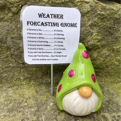 Funny Weather Forecasting Gnome