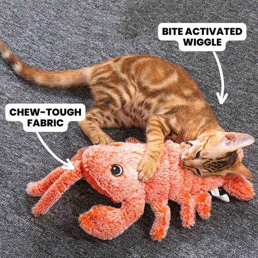Mr. Wiggling Lobster | Bite Activated Wiggle | Best Interactive Toy for Cat