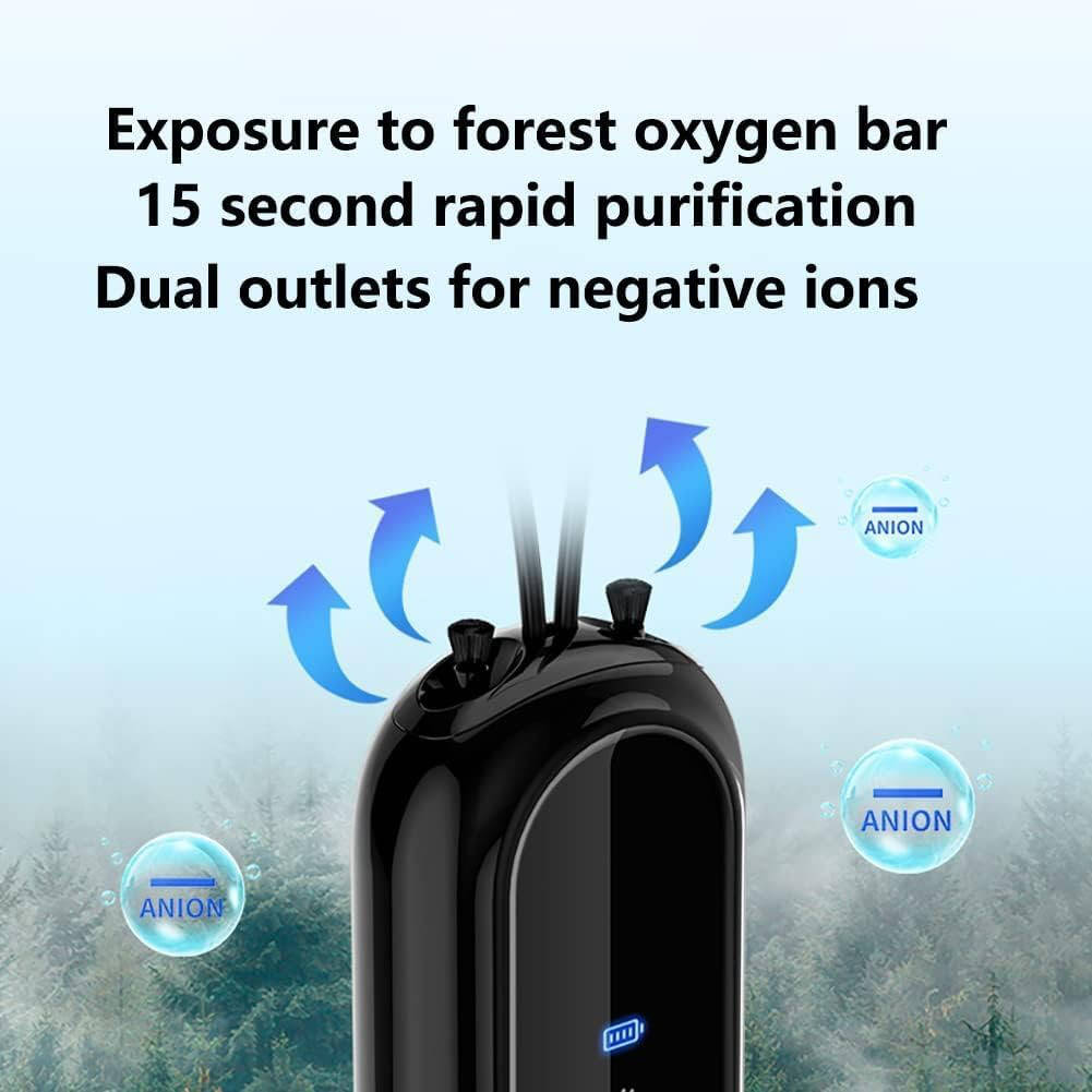 Portable Air Purifier